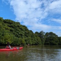 遠くからいらっしゃいました～