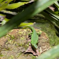 ２月の天気って？？