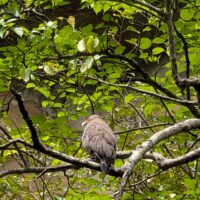 Lucky boy＆Lucy girl！！