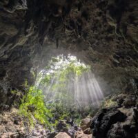 自然の神秘！！