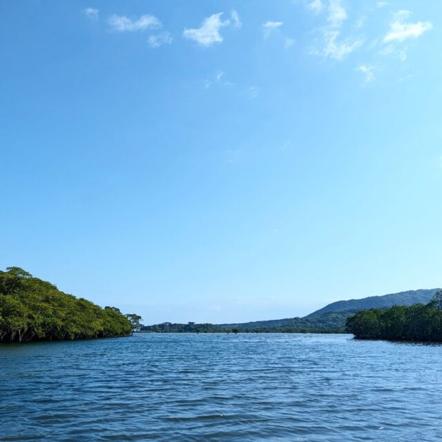 世界自然遺産で遊ぼう🚣
当店のツアーを紹介していきますよ！！
まずは一番人気の、  ✨ピナイサーラの滝 半日コース✨  「西表島でアクティビティしたいけど、
1日ツアーはちょっと長い…」という方におすすめ！  🛶カヤックでマングローブの川を進み
🥾ジャングルをトレッキングして
🌿ピナイサーラの滝へ！  こんな人におすすめ👇
✔ 半日はホテルでゆっくりしたい
✔ 半日はレンタカーで西表島ドライブ🚗
✔ 遊びたいけど丸一日は体力が心配  当店の半日ツアーはランチ付き🍴
ツアー後にお昼ごはんのお店を探す必要もありません😊
西表島の大自然を楽しめますよ🌿  #西表島
#ピナイサーラの滝
#西表島ツアー
#西表島アクティビティ
#カヤック