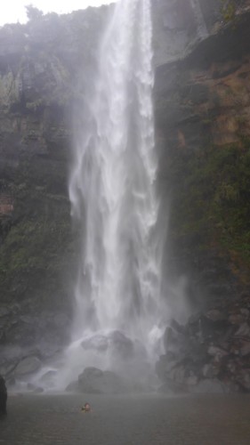 西表島の滝